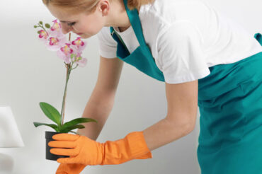 conceptclean_ (1)
